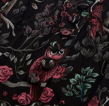 Load image into Gallery viewer, MISS LULO - ENCHANTED OWLS DRESS
